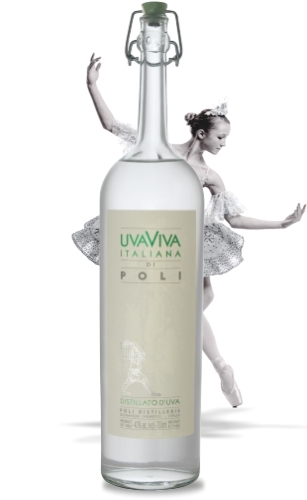 UvaViva Italiana di Poli UvaViva Italiana di Poli